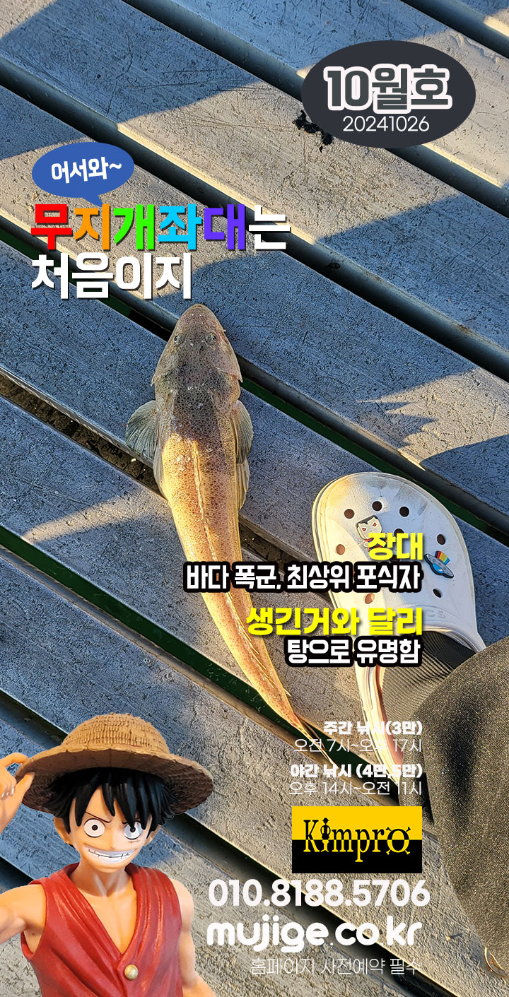 10-26 좌대낚시 조황 - 얼음돔, 붕장어,박하지,갑오징어, 쭈꾸미, 갈치