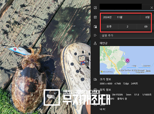 11-08 갑오징어 사무장이 사고친날