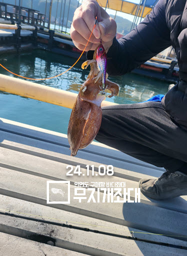11-08 갑오징어 사무장이 사고친날