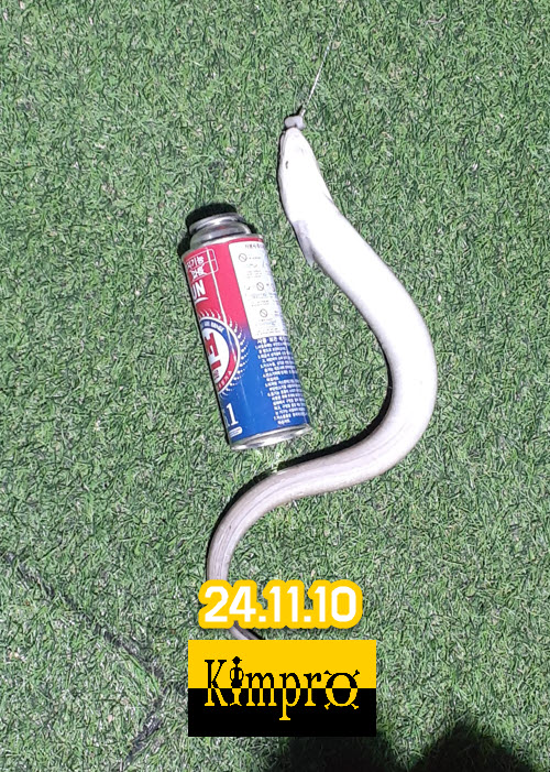 11-10 붕장어,갑오징어 조황안내