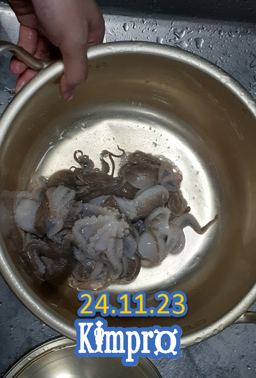 11-23 서해좌대 쭈꾸미 조황