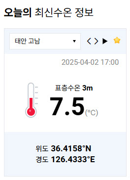 바다 수온이 오르지 않네요 올해 유독 특이 합니다