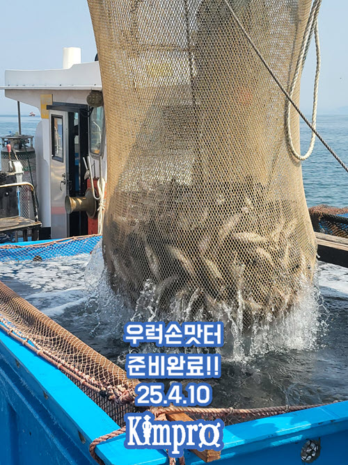 야간손님용 우럭손맛터, 입고 완료!