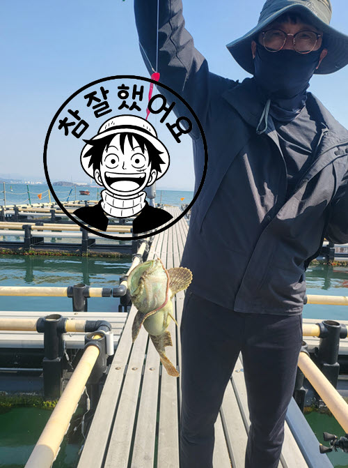 0418 태안 안면도좌대 우럭낚시 조황 안내