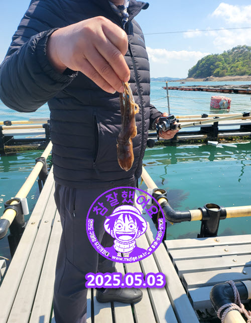 우럭추가입고 및 좌대 쭈꾸미??