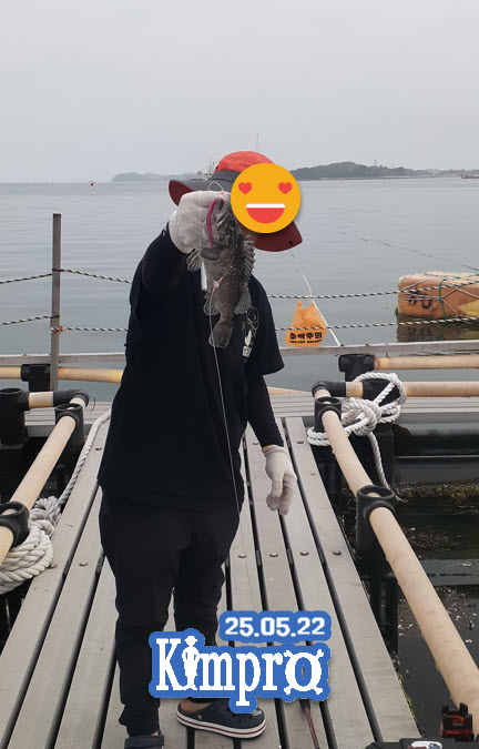 05-22 우럭, 호레기(꼴뚜기) 조황안내