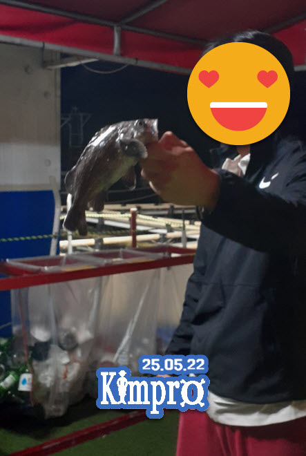 05-22 우럭, 호레기(꼴뚜기) 조황안내