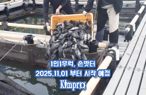 우럭서비스 종료 및 재시작 안내