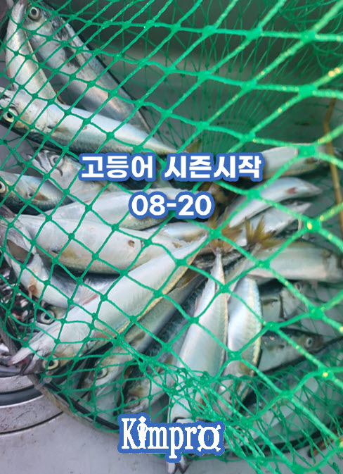 08-20 안면도좌대 고등어낚시