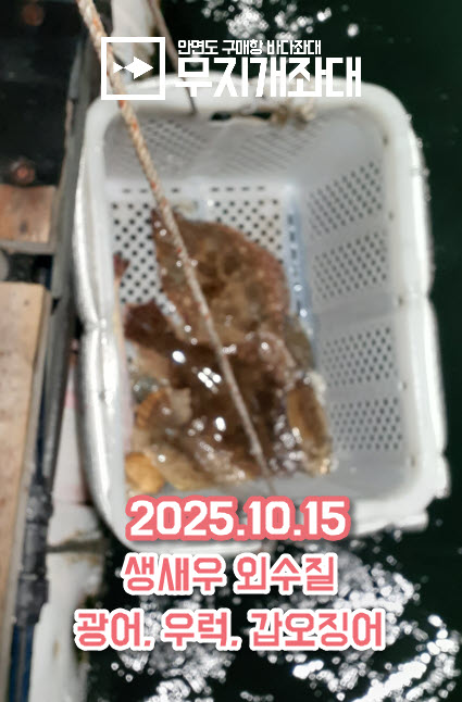 2025-10-17_15-43-56.jpg 1015 태안 무지개좌대 조황 - 가을 어종 모두 출현