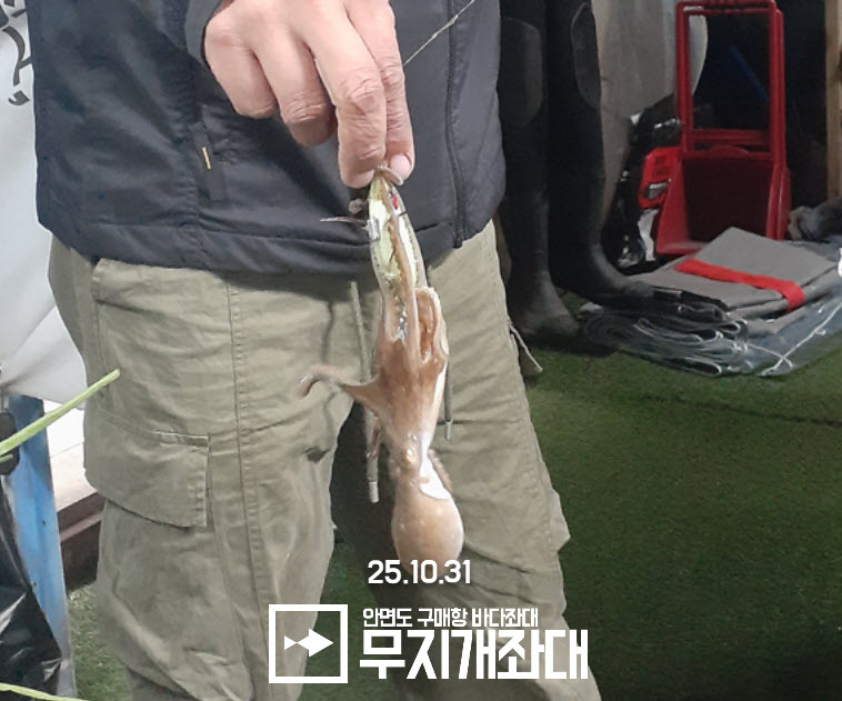 안면도좌대 갑오징어 생새우외수질 2025-11-02_14-03-05.jpg 서해좌대 야간낚시 생새우외수질 조황 안내