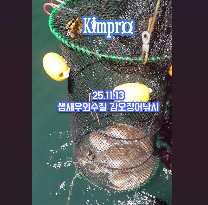 생새우외수질 갑오징어낚시 2025-11-14_7-37-25.jpg 갑오징어 생새우외수질 서두르세요 새우가 부족해