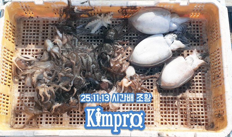 2025-11-13_17-47-08_안면도좌대시간배낚시 조황.jpg 갑오징어 생새우외수질 서두르세요 새우가 부족해